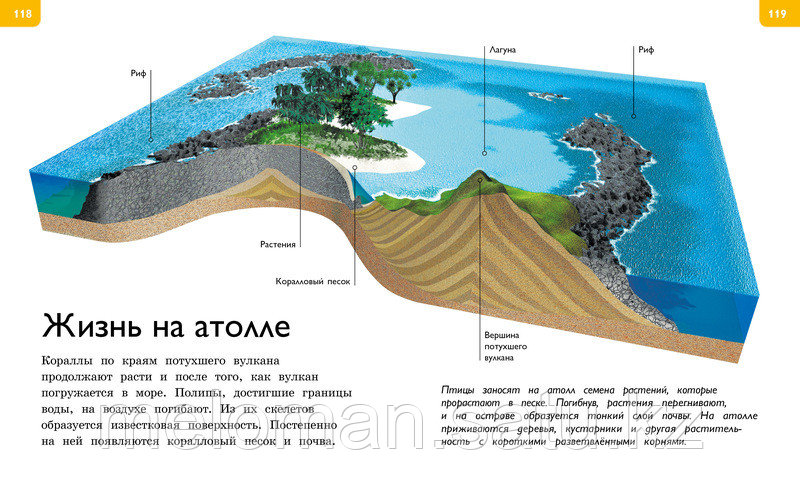 Коуп Р.: Новая энциклопедия для любознательных (нов.оф.) - фото 6 - id-p98864667