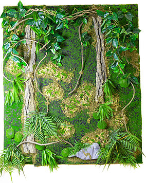 Фито-стена из искусственного мха и растений
