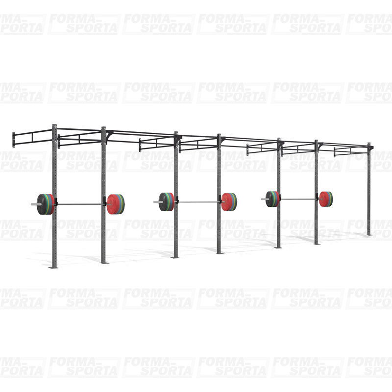 Кроссфит рама пристенная TopGym 8700х1800