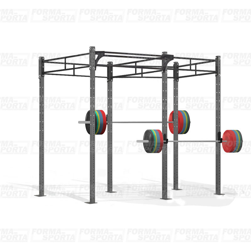 Многофункциональная кроссфит рама TopGym 2900x1800