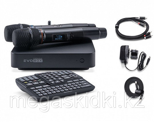 Караоке система Evobox Plus с микрофонами SE-201D - фото 10 - id-p98881188