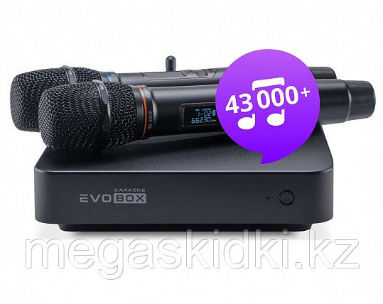 Караоке система Evobox Plus с микрофонами SE-201D - фото 3 - id-p98881188
