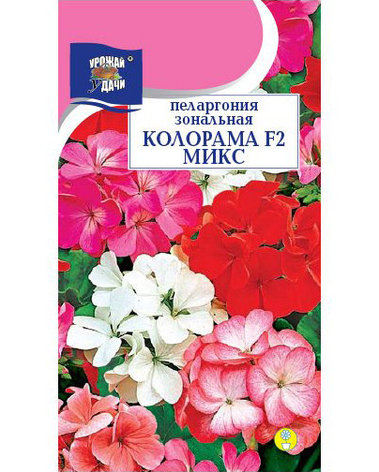 Семена Пеларгонии "Колорама F2 Микс" Урожай удачи, фото 1