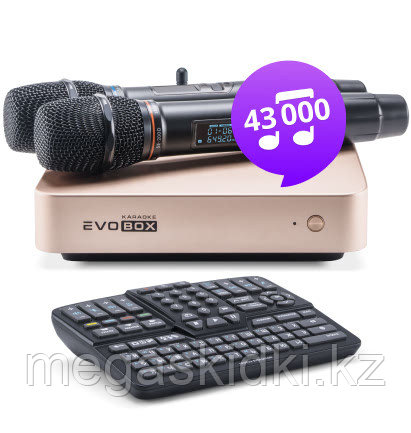 Караоке система Evobox Plus с микрофонами SE-201D
