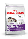 Royal Canin Giant Starter M&B, Роял Канин Джаинт Стартер, начальный корм для щенков крупных пород, уп. 15кг