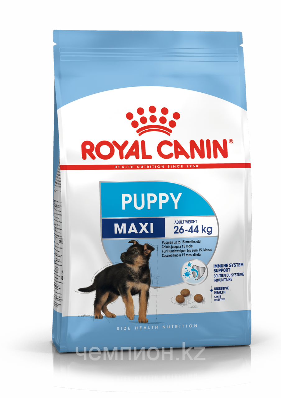 ROYAL CANIN Maxi Puppy, Роял Канин корм для щенков крупных пород с 2 до 15 месяцев, уп. 4 кг