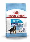 ROYAL CANIN Maxi Puppy, Роял Канин корм для щенков крупных пород с 2 до 15 месяцев, уп. 15 кг