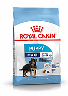 ROYAL CANIN Maxi Puppy, Роял Канин корм для щенков крупных пород с 2 до 15 месяцев, уп. 15 кг