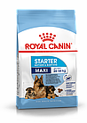 Royal Canin Maxi Starter M&B, Роял Канин Макси Стартер, начальный корм для щенков крупных пород, уп. 15 кг