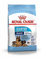 Royal Canin Maxi Starter M&B, Роял Канин Макси Стартер, начальный корм для щенков крупных пород, уп. 4 кг