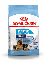 Royal Canin Maxi Starter M&B, Роял Канин Макси Стартер, начальный корм для щенков крупных пород, уп. 4 кг