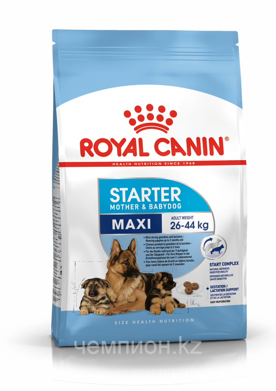 Royal Canin Maxi Starter M&B, Роял Канин Макси Стартер, начальный корм для щенков крупных пород, уп. 4 кг - фото 1 - id-p26455543