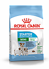 Royal Canin Mini Starter M&B, Роял Канин Мини Стартер, начальный корм для мелких щенков, уп. 1 кг