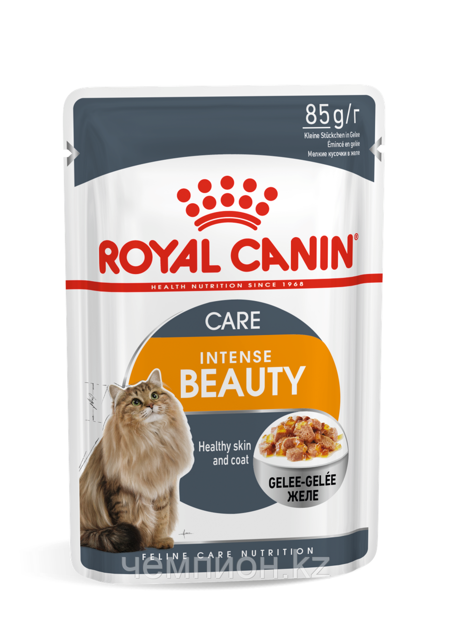 Royal Canin Intense Beauty, Роял Канин влажный корм для кожи и шерсти кошек в желе, уп.12*85гр.