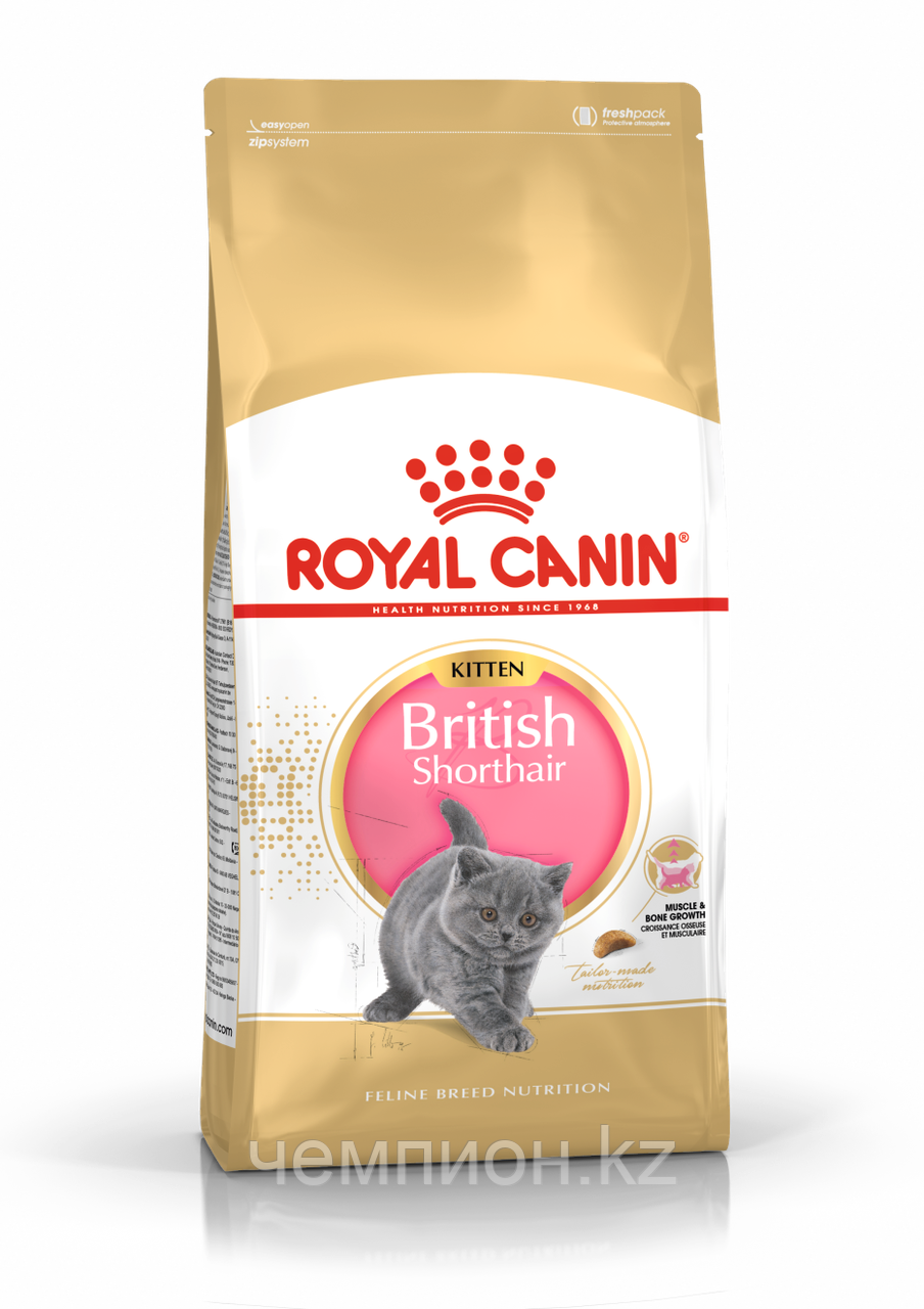 Royal Canin Kitten British Shorthair, Роял Канин корм для котят британской короткошерстной, уп. 2 кг.