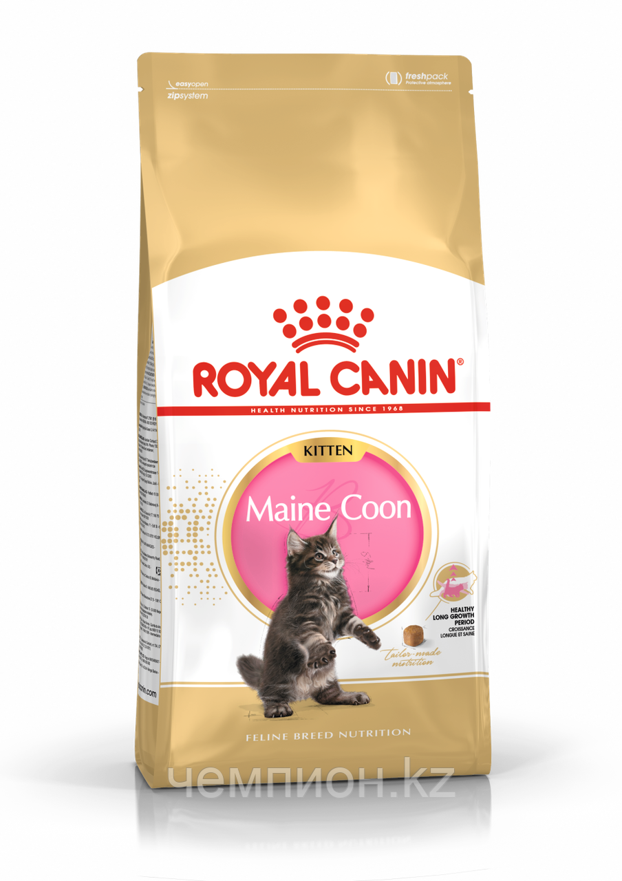 ROYAL CANIN Kitten Maine Coon 36, Роял Канин корм для котят породы Мейн Кун, уп. 2кг.