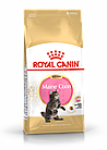 ROYAL CANIN Kitten Maine Coon 36, Роял Канин корм для котят породы Мейн Кун, уп. 2кг.