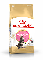 ROYAL CANIN Kitten Maine Coon 36, Роял Канин корм для котят породы Мейн Кун, уп. 2кг.