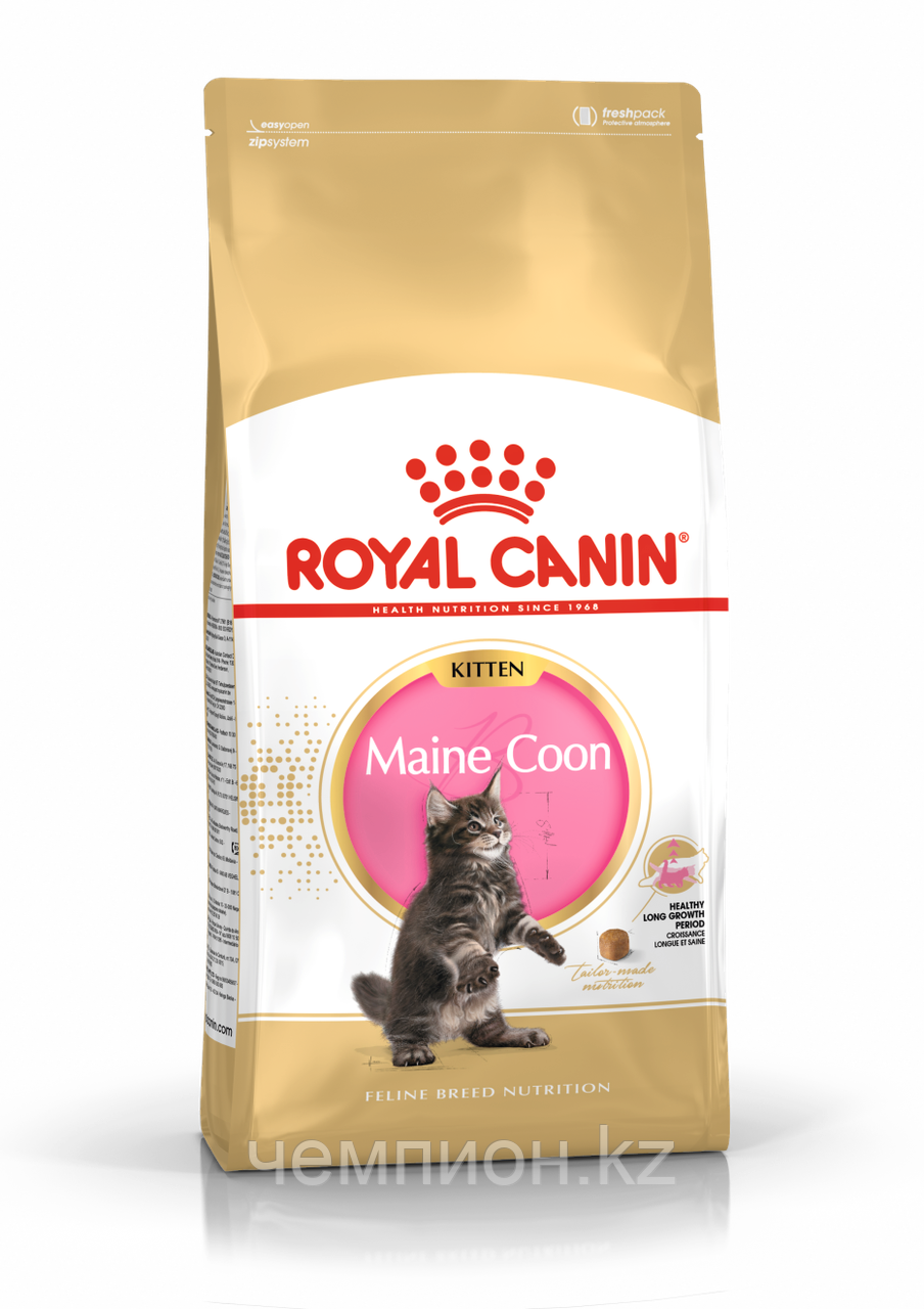 ROYAL CANIN Kitten Maine Coon 36, Роял Канин корм для котят породы Мейн Кун, уп. 2кг. - фото 1 - id-p38034581