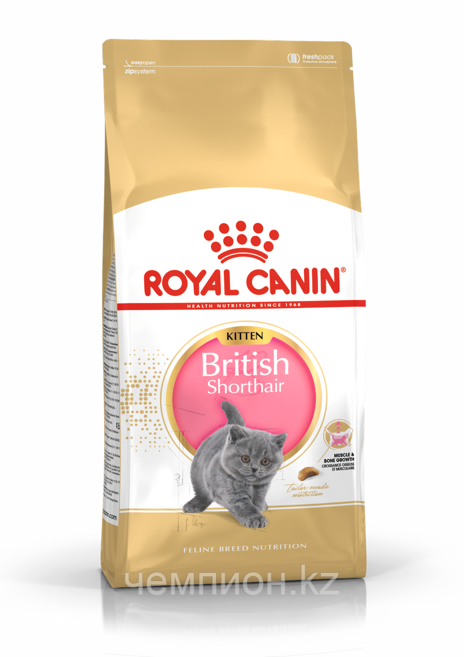 Royal Canin Kitten British Shorthair, Роял Канин корм для котят британской короткошерстной, уп.400 гр.