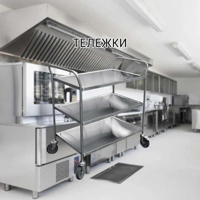 Тележки в Алматы от компании "EKO-KITCHEN - Профессиональное Кухонное ...