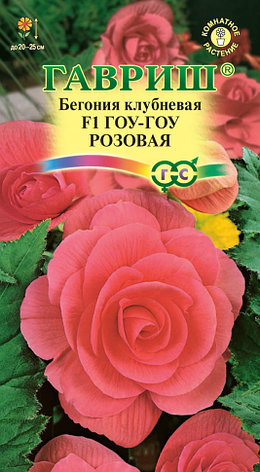 Семена Бегонии "Гоу-гоу розовая F1" Гавриш, фото 2