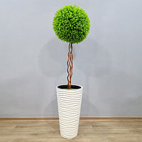 Растения в кашпо в ассортименте, фото 3