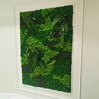 Озеленение квартир стабилизированным мхом, фото 5