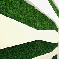 Озеленение офисов, фото 2