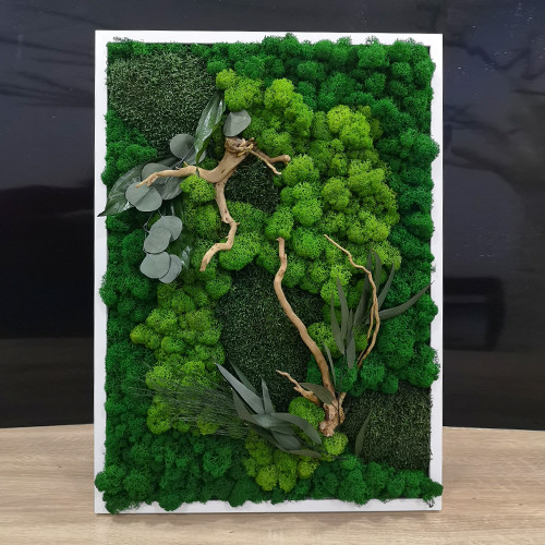 Картина из стабилизированных растений и мха 50х70см