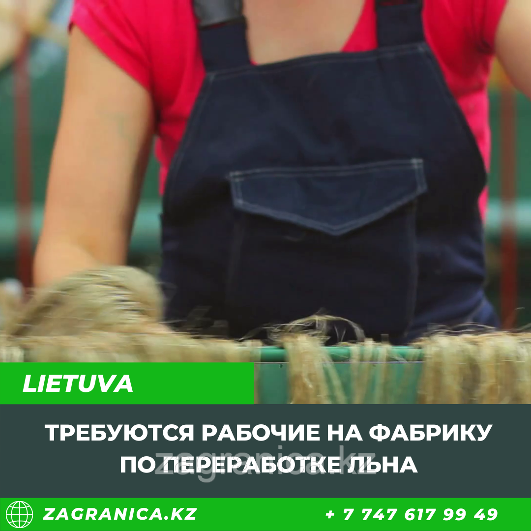Требуются рабочие на фабрику по переработке льна в Литву