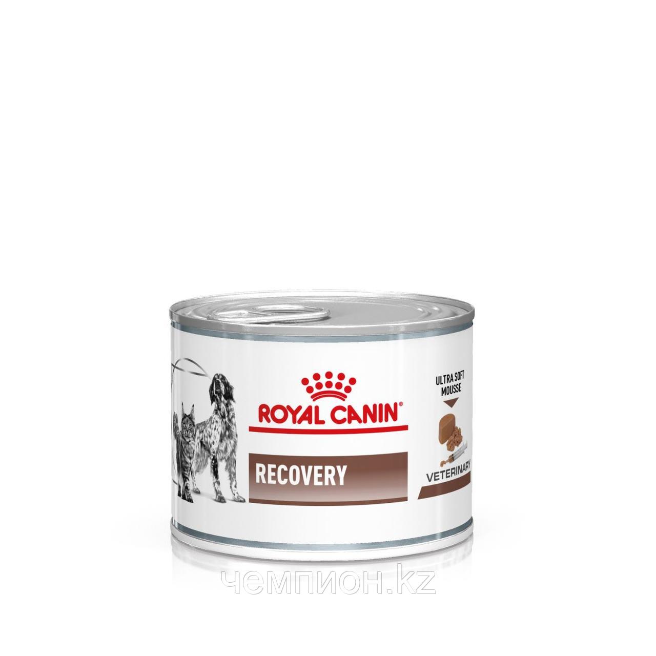 Royal Canin Recovery Canin & Feline консервы для собак и кошек в период анорексии, выздоровления, банка 195 гр