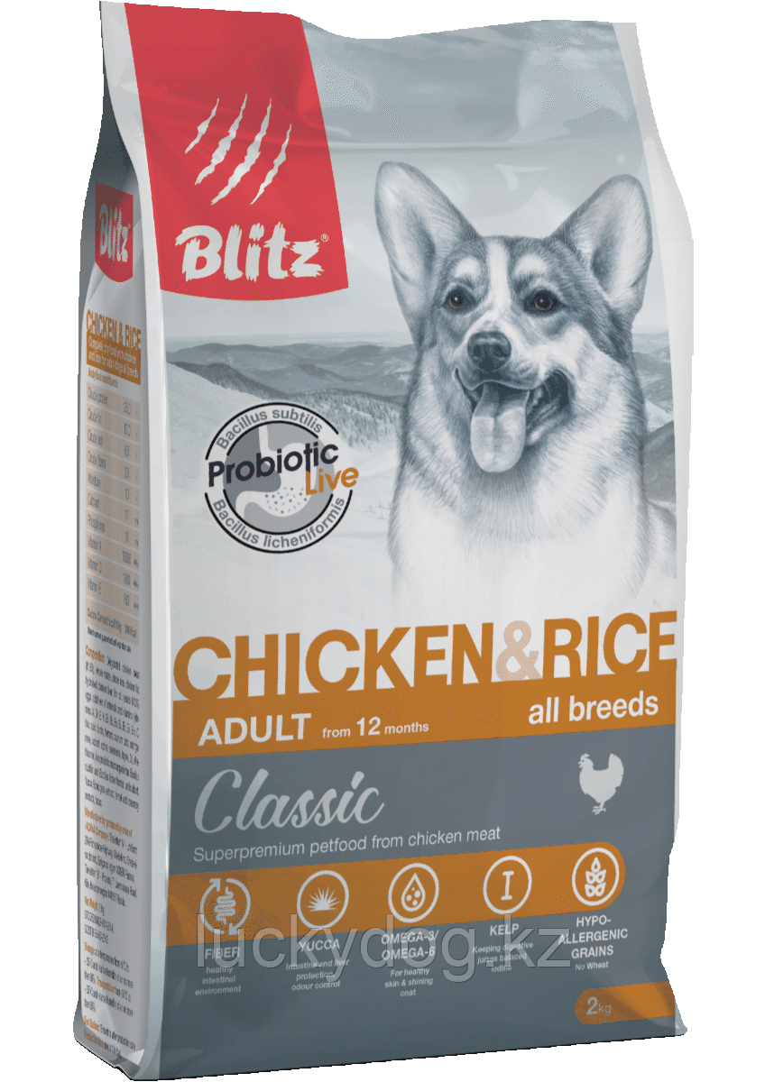 BLITZ Classic (КУРИЦА и РИС) 2кг полнорационный сухой корм для взрослых собак CHICKEN & RICE