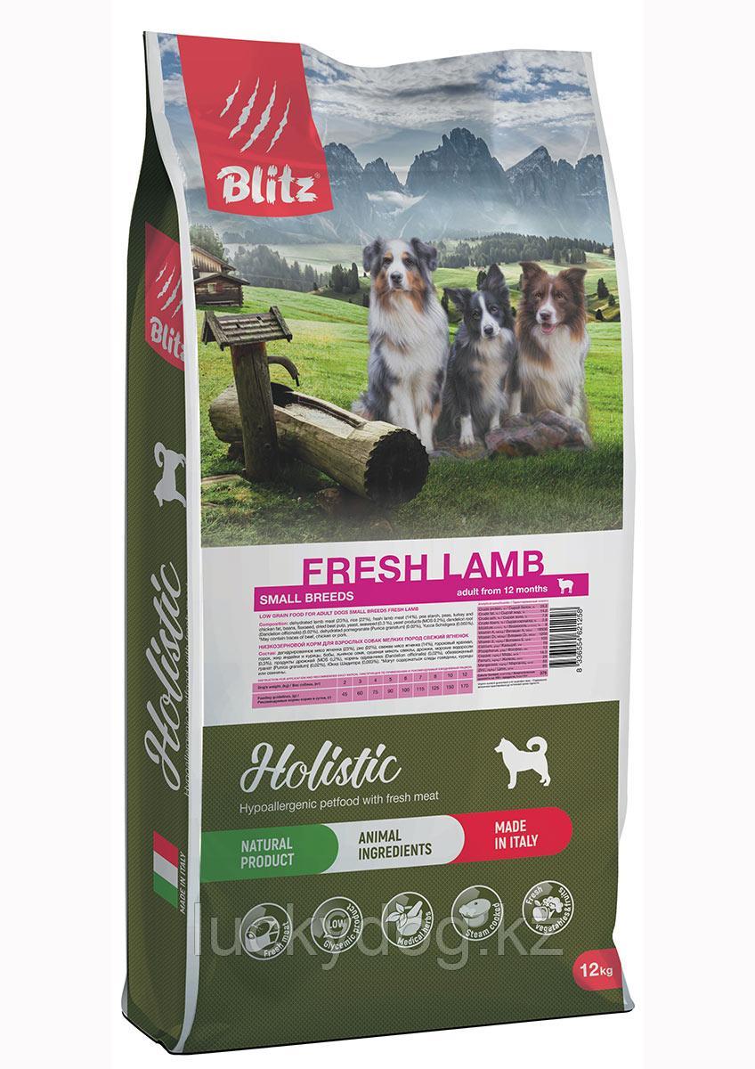 BLITZ Holistic Small LG 12кг Свежий ЯГНЁНОК, низкозерновой корм для взрослых собак мелких пород FRESH Lamb