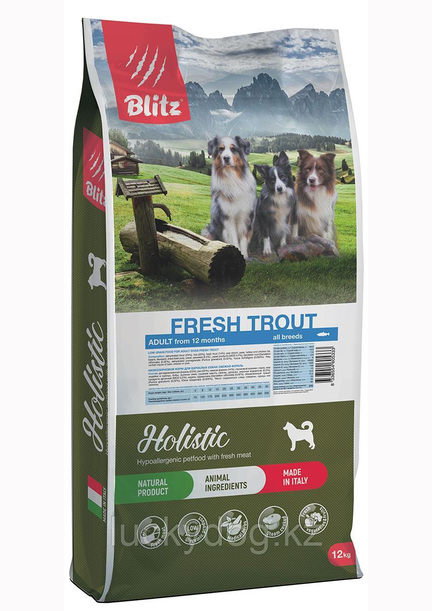 BLITZ Holistic LG 12кг Свежая ФОРЕЛЬ, низкозерновой корм для взрослых собак всех пород FRESH TROUT