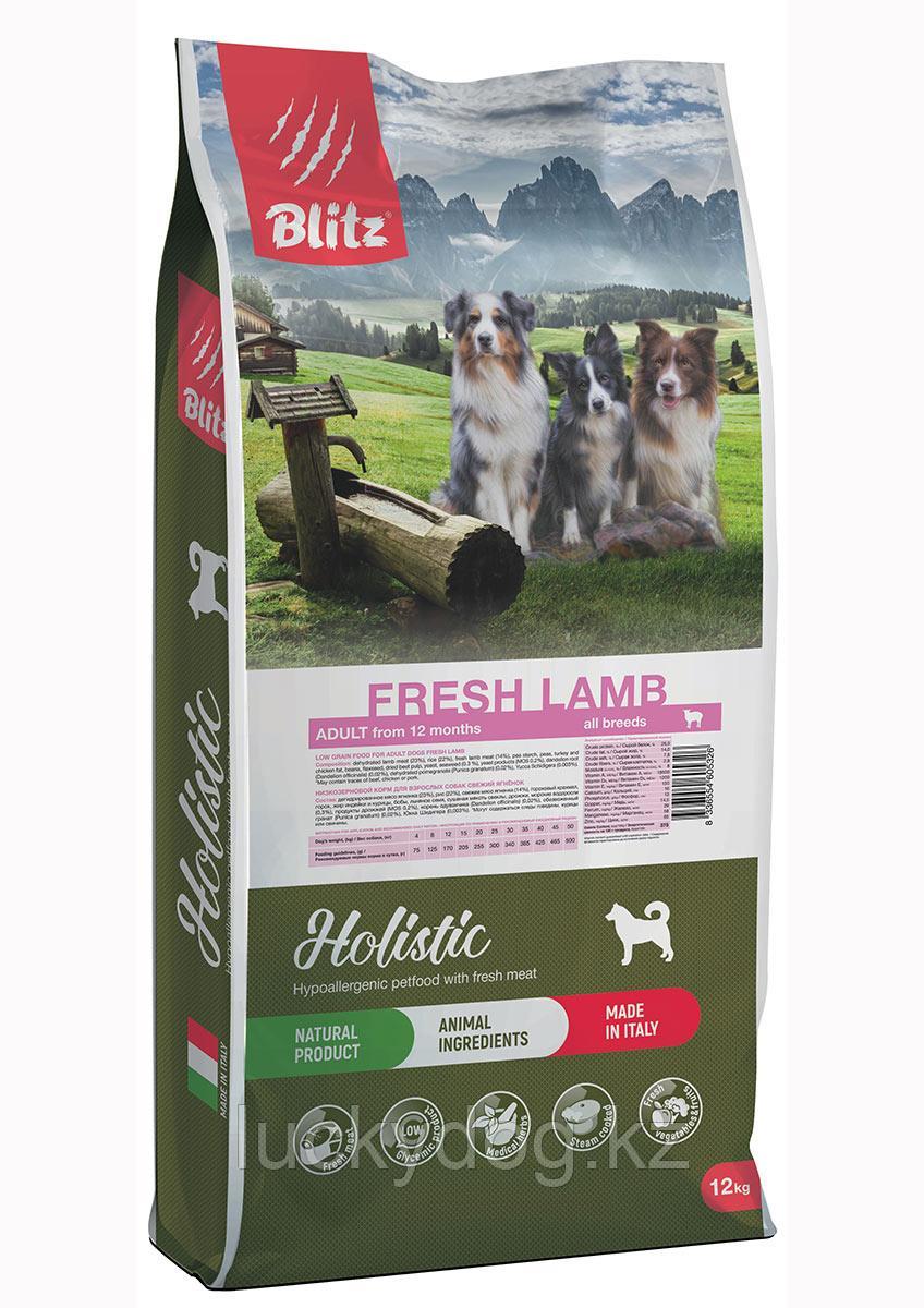 BLITZ Holistic LG 12кг Свежий Ягненок, низкозерновой корм для взрослых собак всех пород FRESH LAMB