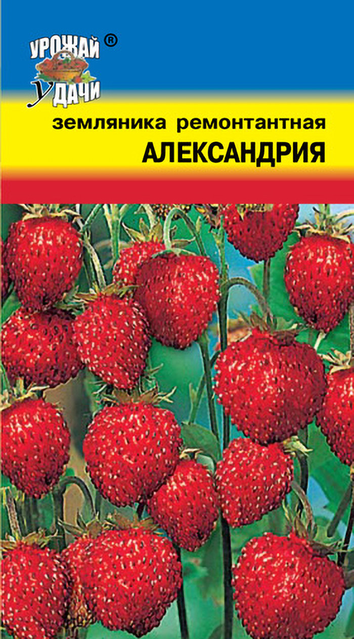 Семена Земляники ремонтантной "Александрия" Урожай удачи - фото 1 - id-p98991427