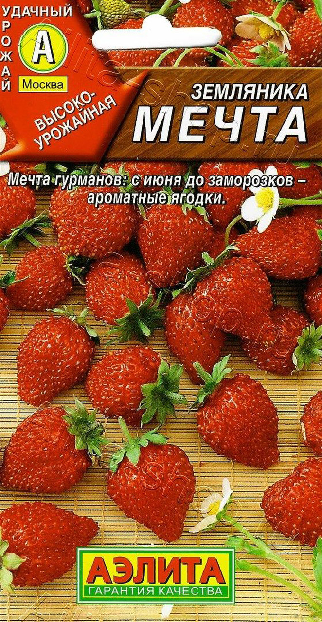 Земляника розовая мечта (а). Земляника алый огонек f1. Клубника фестивальная рассада. Земляника мечта описание. Земляника барон солемахер.