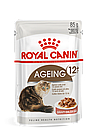 Royal Canin Ageing +12, Роял Канин кусочки в соусе для кошек старше 12 лет, уп. 12шт* 85 гр