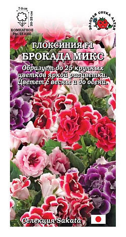 Семена Глоксинии "Брокада Микс F1" Золотая сотка Алтая, фото 1