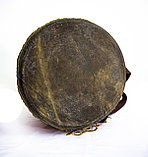 Дауылпаз малый, фото 2