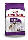 ROYAL CANIN Giant Adult, Роял Канин корм для взрослых собак гигантских пород, уп. 15 кг
