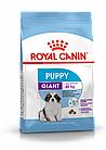 ROYAL CANIN Giant Puppy, Роял Канин корм для щенков гигантских пород с 2 до 8 месяцев, уп. 15кг