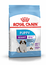 ROYAL CANIN Giant Puppy, Роял Канин корм для щенков гигантских пород с 2 до 8 месяцев, уп. 15кг