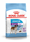 ROYAL CANIN Giant Junior, Роял Канин корм для щенков гигантских пород с 8 до 24 месяцев, уп. 15 кг