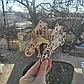Тойбастар / Именная Коробочка для сладостей, фото 4
