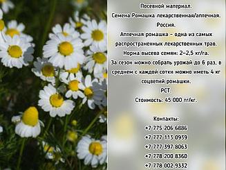 Семена Ромашка лекарственная/аптечная РСТ Россия