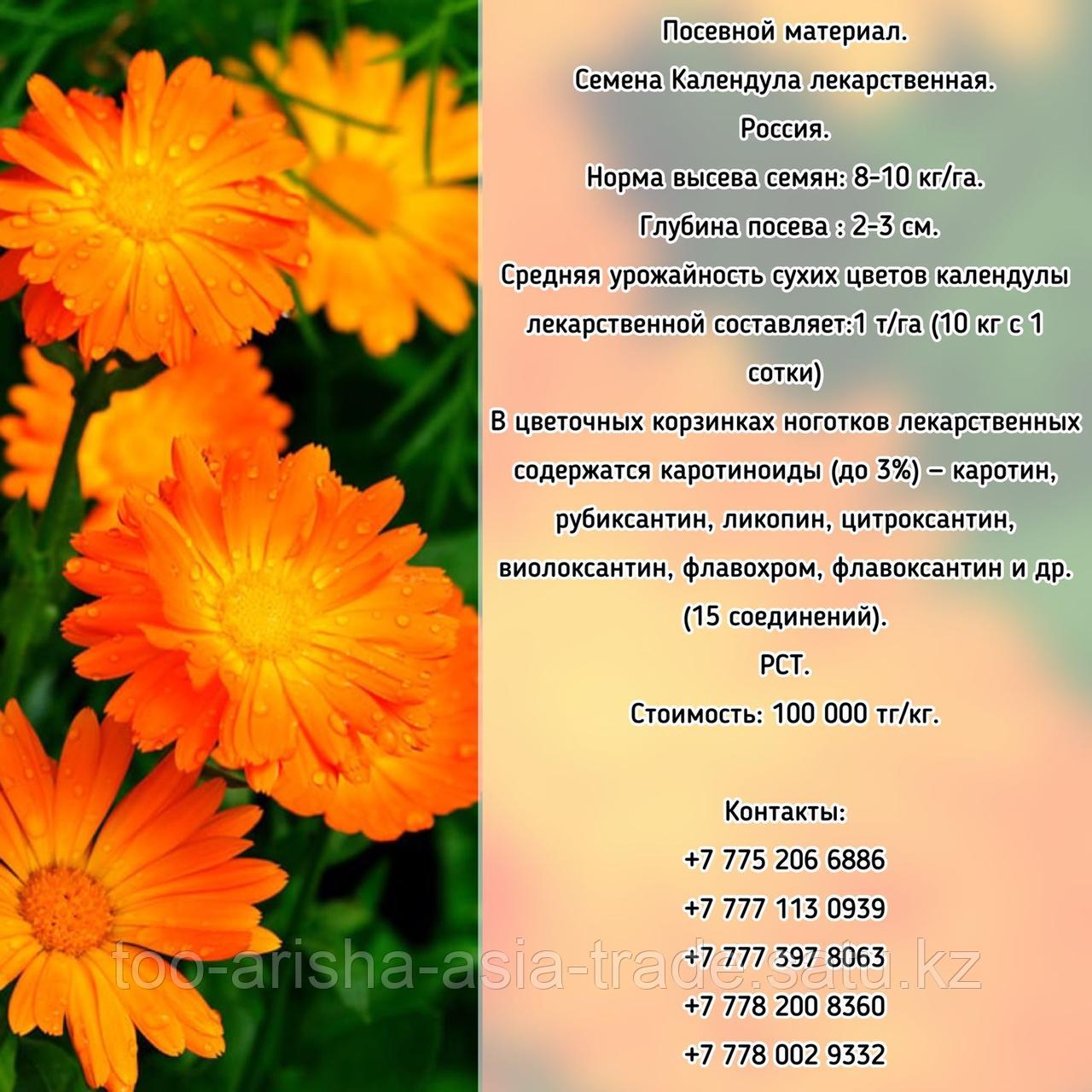 Семена Календула лекарственная РСТ Россия