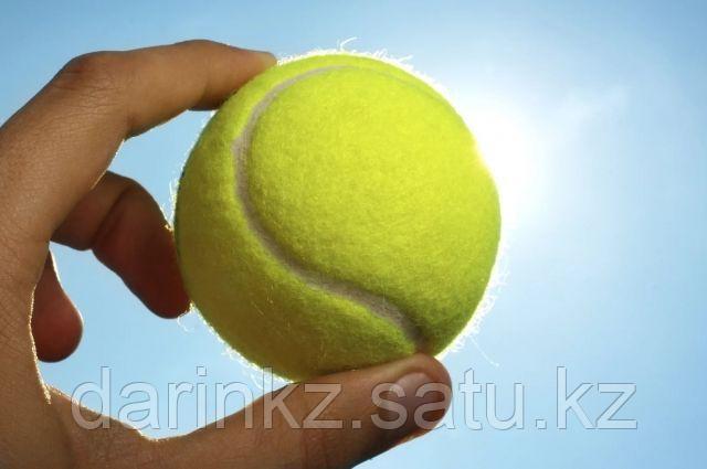 Мячик для большого тенниса - фото 4 - id-p99145808