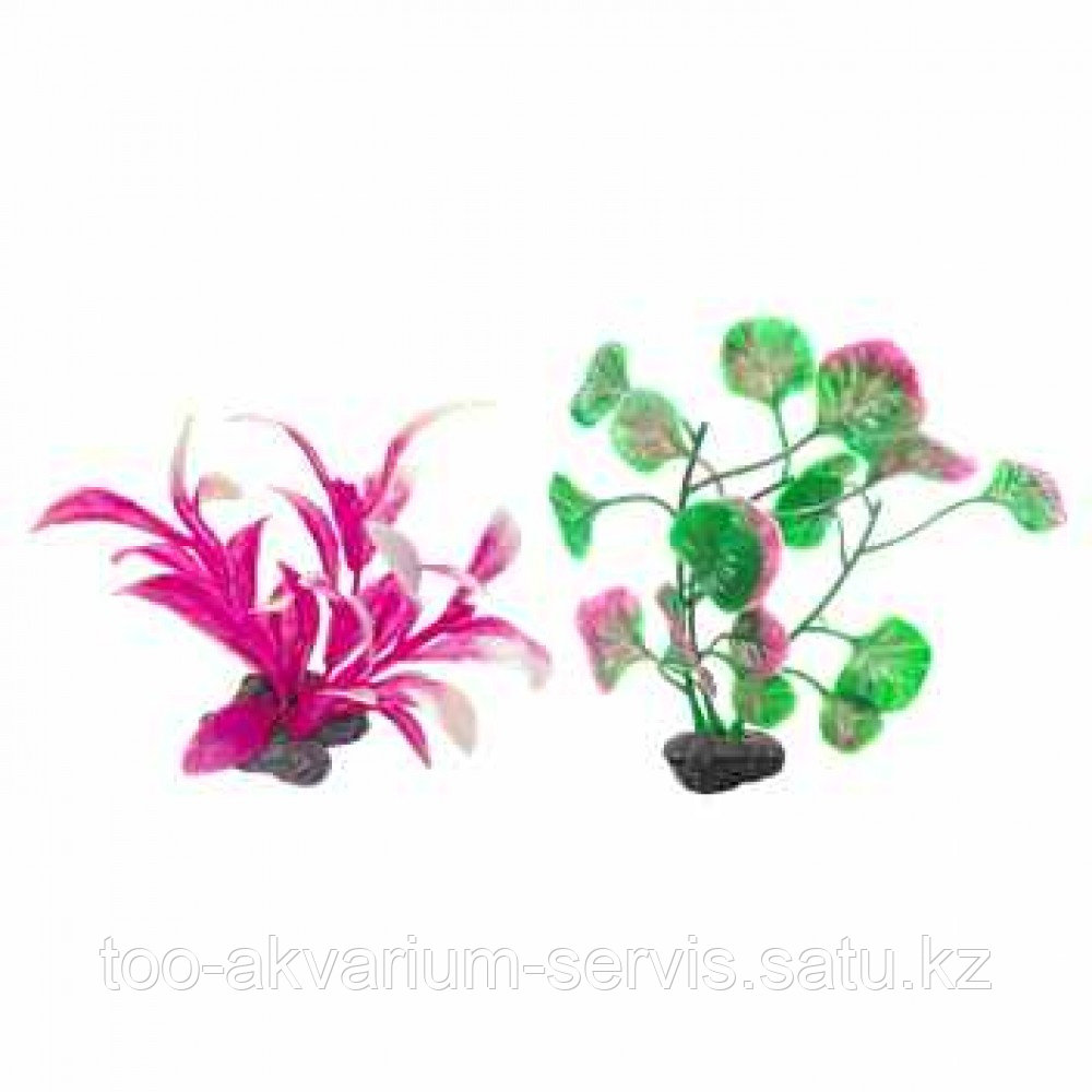 Растение пластик мини Tetra DecoArt Plant XS ll 6см зел/роз/разноц